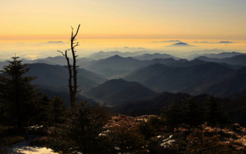  지리산의 미 (冬)