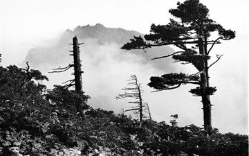 여름 날의 천왕봉