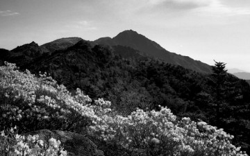 봄이 오는 소리