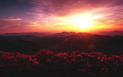 덕유의 봄 !