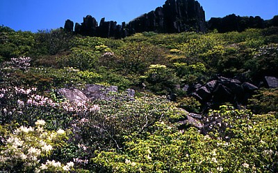 서석대
