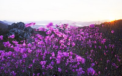 주작산