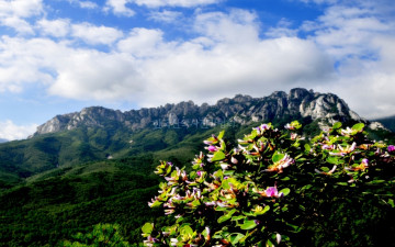 울산암의 가을 향기