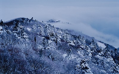 상제루.
