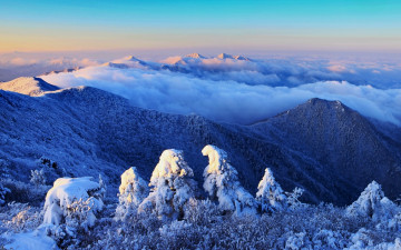 중봉이 그리웠던날