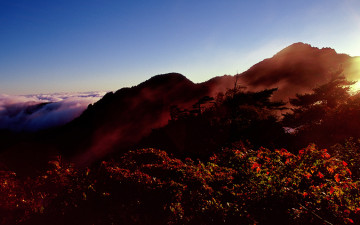 마음속에 담아온 그림은,