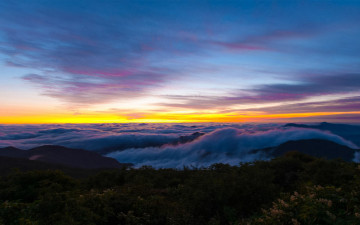빛을 향한 기다림