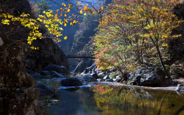 절골의 사람들.