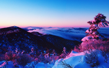 덕유산의 겨울 !