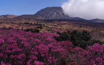 덕유산 주능선의 일출빛