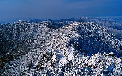 지리산의 설경 !