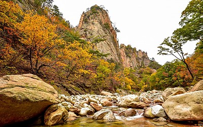 독주암 추경