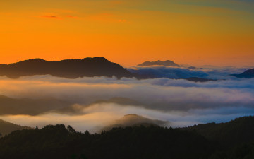 오늘 아침에....