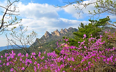 도봉산