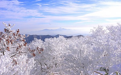 덕유는 지금.