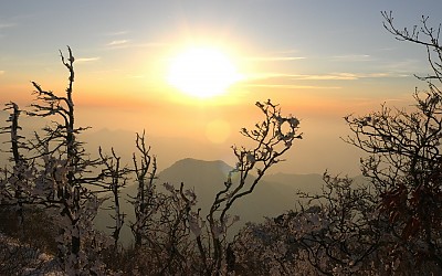 덕유는 지금.