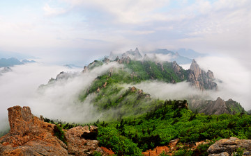 봄을 기다리는 마음