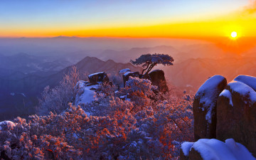 대둔산 소나무와 일출