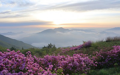 지리산 바래봉에서