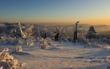 태백의 국민 포인트