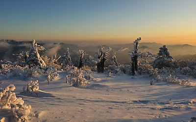 태백의 국민 포인트