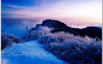 지리중봉에서 본 빙화