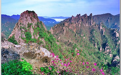 설악산의 봄