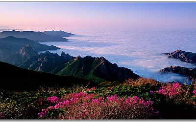 설악산의 봄 2
