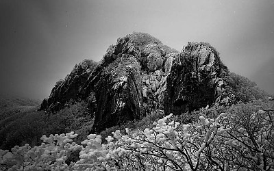 가지산설경