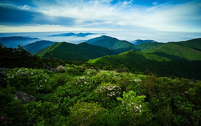 지리산의 봄