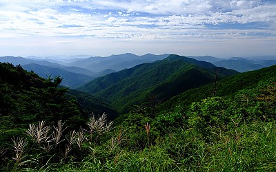 벌써 가을