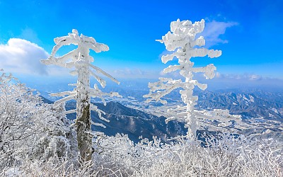 덕유설경