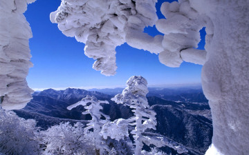 덕유산 상고대.(핫셀.40mm.벨비아 50.)