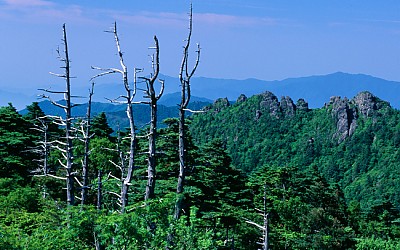지리산