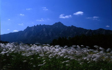 억세가 있는월출산