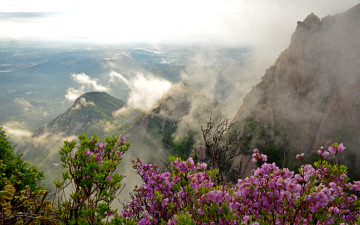 내년울기약하며~~