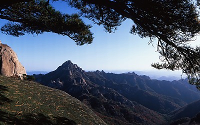 월출산추경.