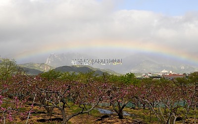 4월의 무지개