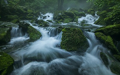 장전리와 함백산
