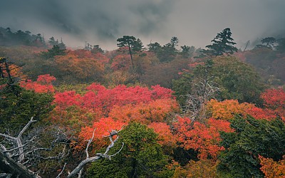 지리의 가을