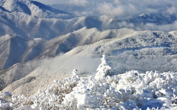 깨어 있는 마음으로 걷기