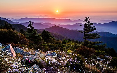 지리산의 가을 아침