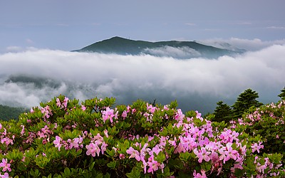 지리산