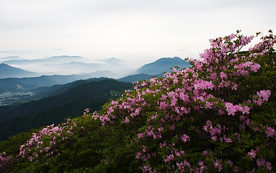 좋은아침