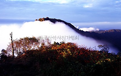 어느 가을의 추억,