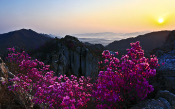 주작산의 일출 일몰