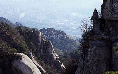 Y 계곡의 꿈