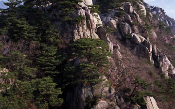 도봉산 포대능선의 봄