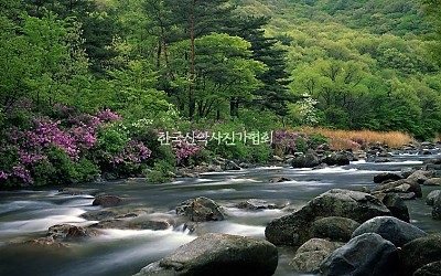 달궁
