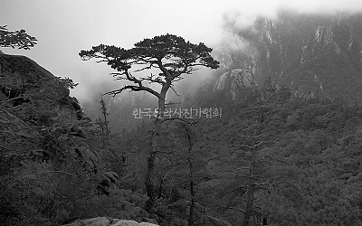 마등령의 추억